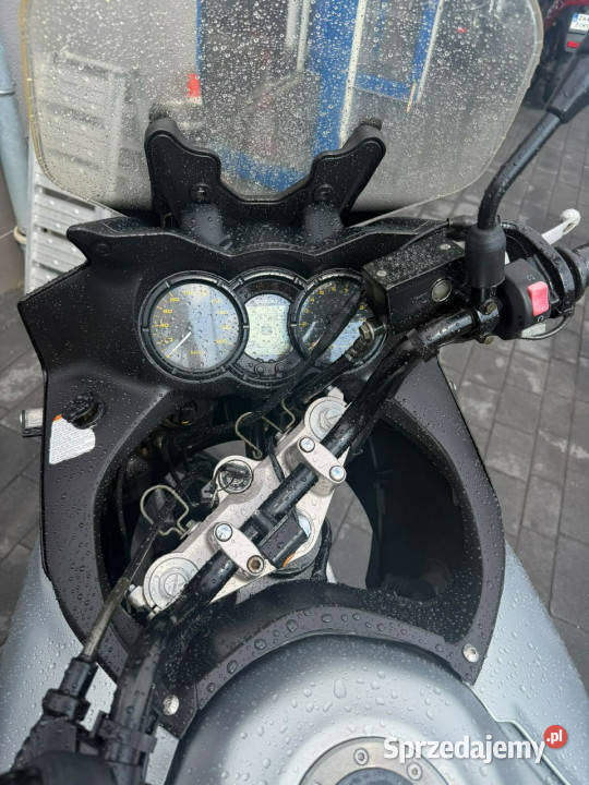 Suzuki DL Suzuki DL 650 Barlinek