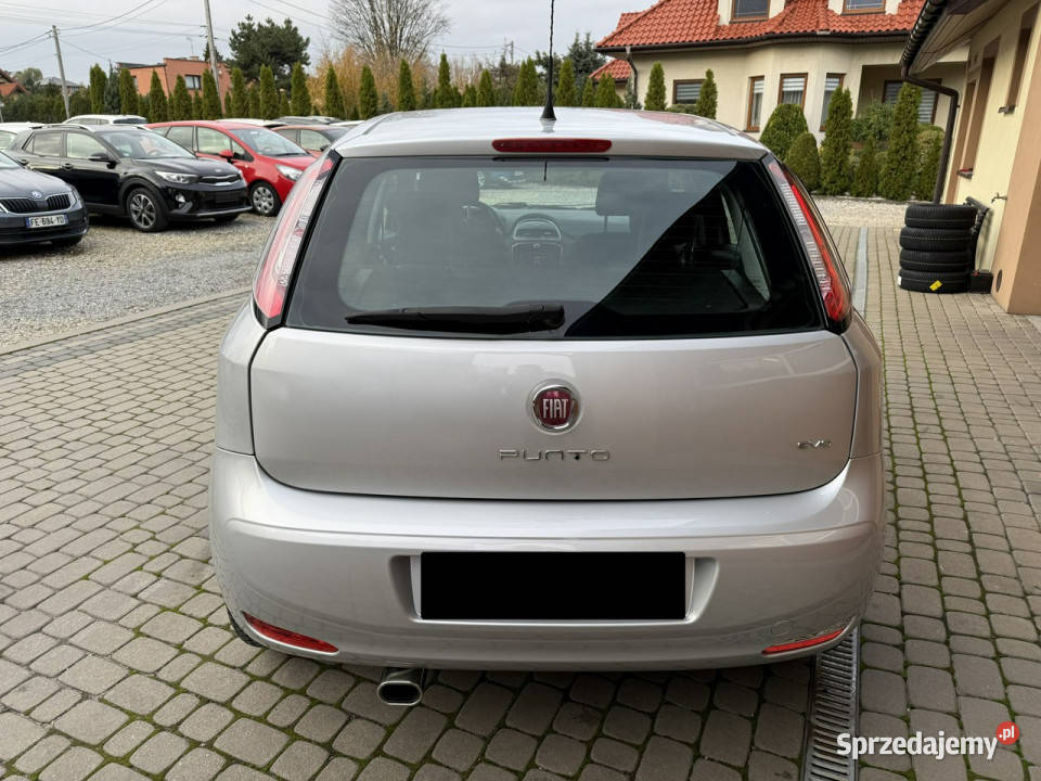 Fiat Punto 2012 12 69 Rej032014r Klimatyzacja Punto 2012 Orzech
