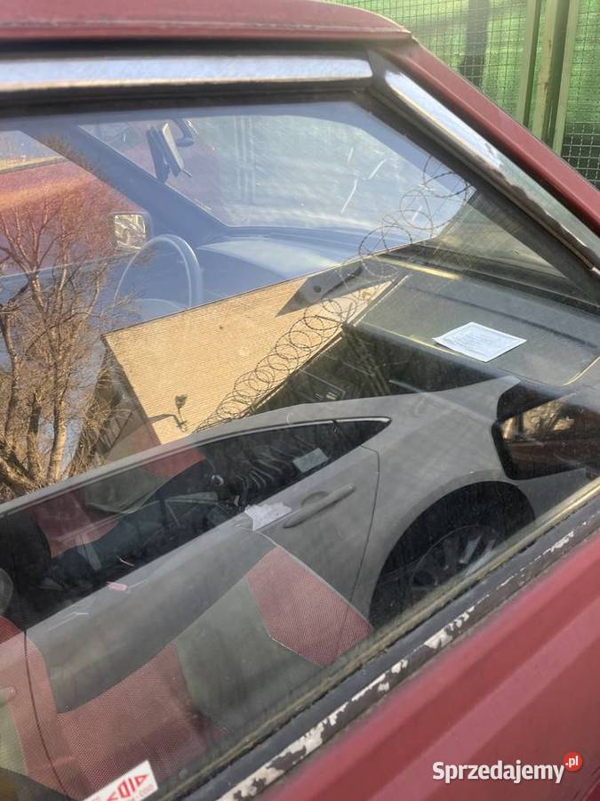 Polonez Caro dziadku Warszawa