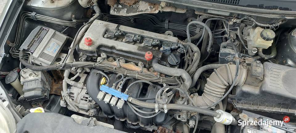 Toyota Corolla E12 sedan 14 Motoryzacja Skarżysko-Kamienna