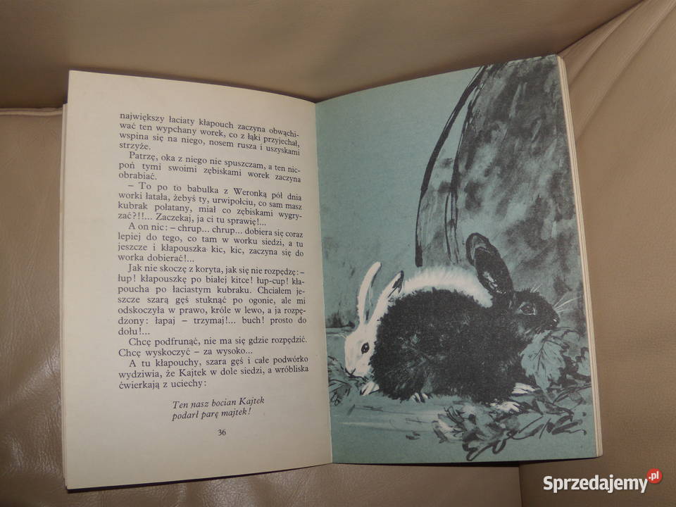 Kajtkowe przygody Maria Kownacka