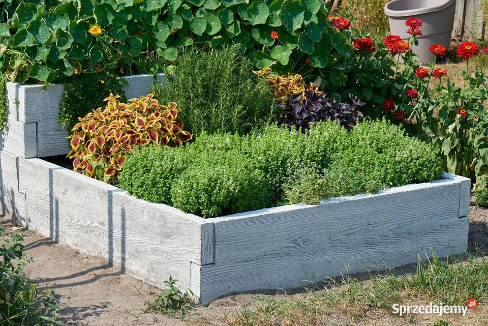 Warzywnik betonowy Ogród warzywny Paleta na