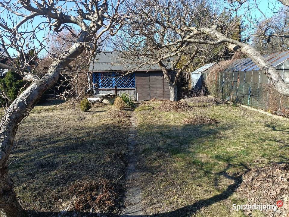 Działka ROD Paluch Miejski Warszawa rekreacyjna