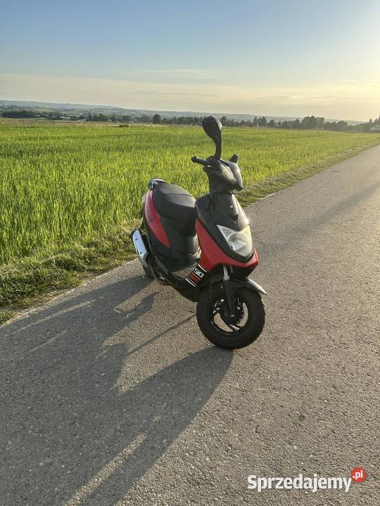 Torq Vivo 5074cc Miechów