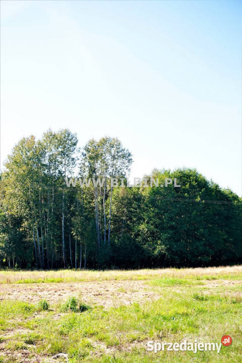 Sprzedam grunt Buda Ruska 8000m2 podlaskie