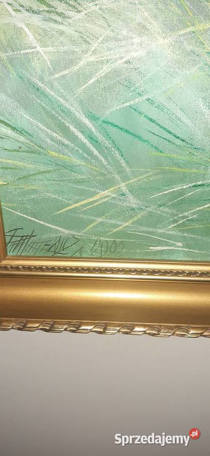 Ogier arabski Góra Kalwaria