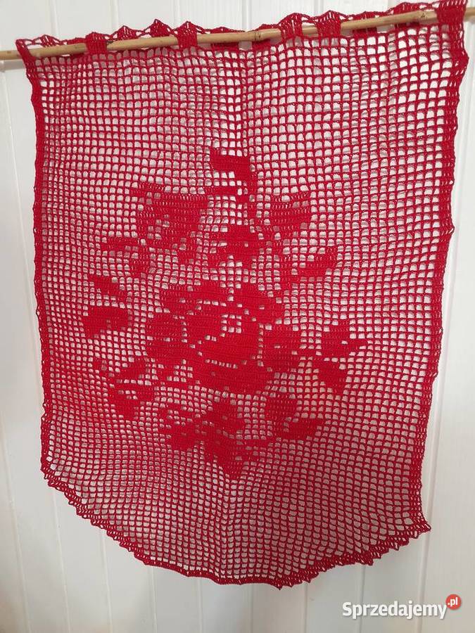 Zazdrostka róża Warszawa