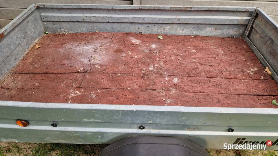 Przyczepka samochodowa lekka Brenderup wielkopolskie Jaszkowo