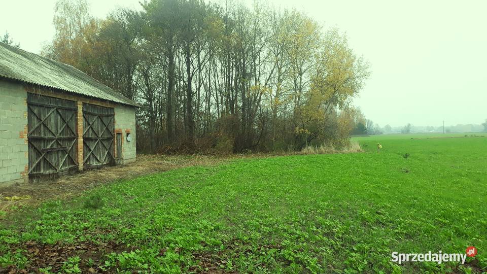 Budynek z możliwością przebudowy na dom Sprzedaż Płońsk