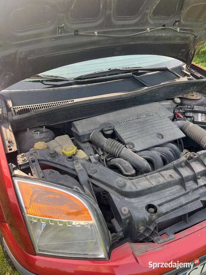 Ford Fusion 14 Trend klima Chełmża