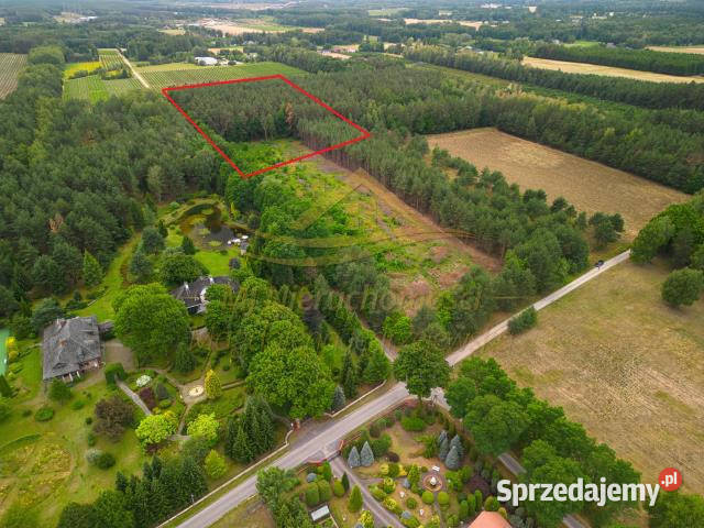 Działka Żabia Wola św Anny 17261m2 Sprzedaż