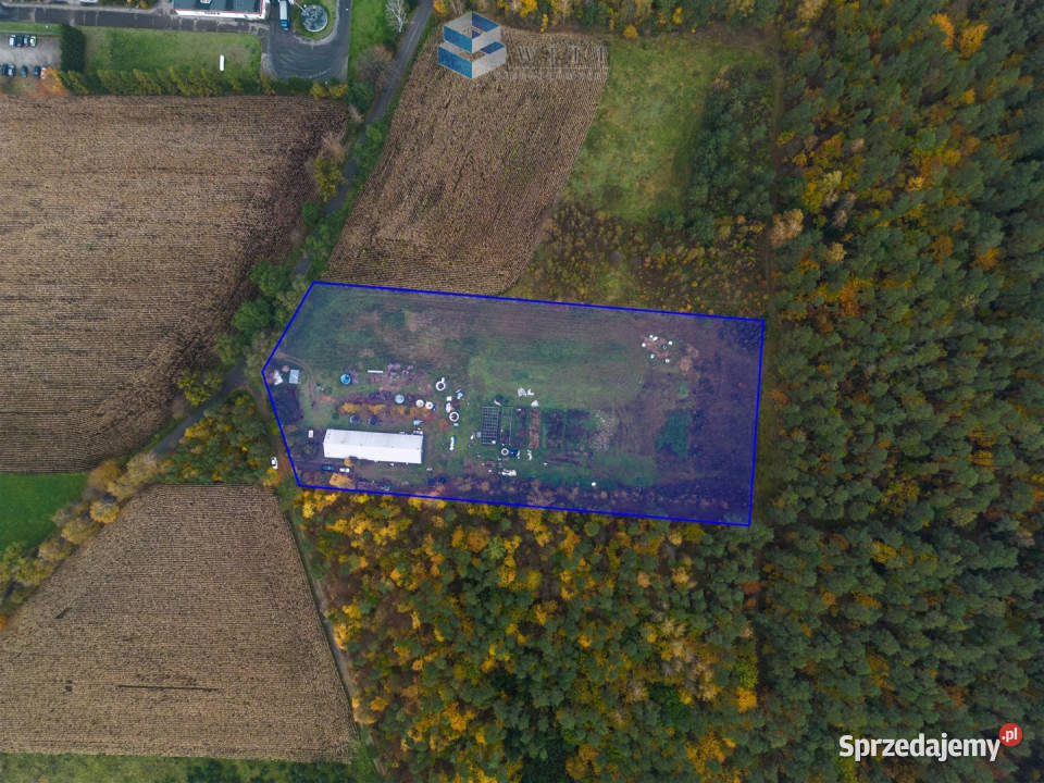 Lokal 342 metry Łukta 342m2 Nieruchomości warmińsko-mazurskie