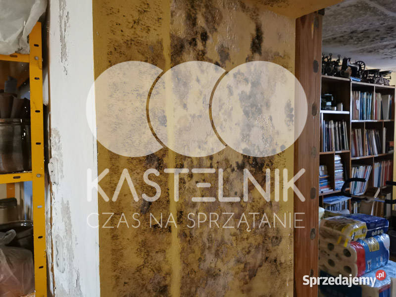 Odgrzybianie ścian Szczytna Kastelnik Usuwanie