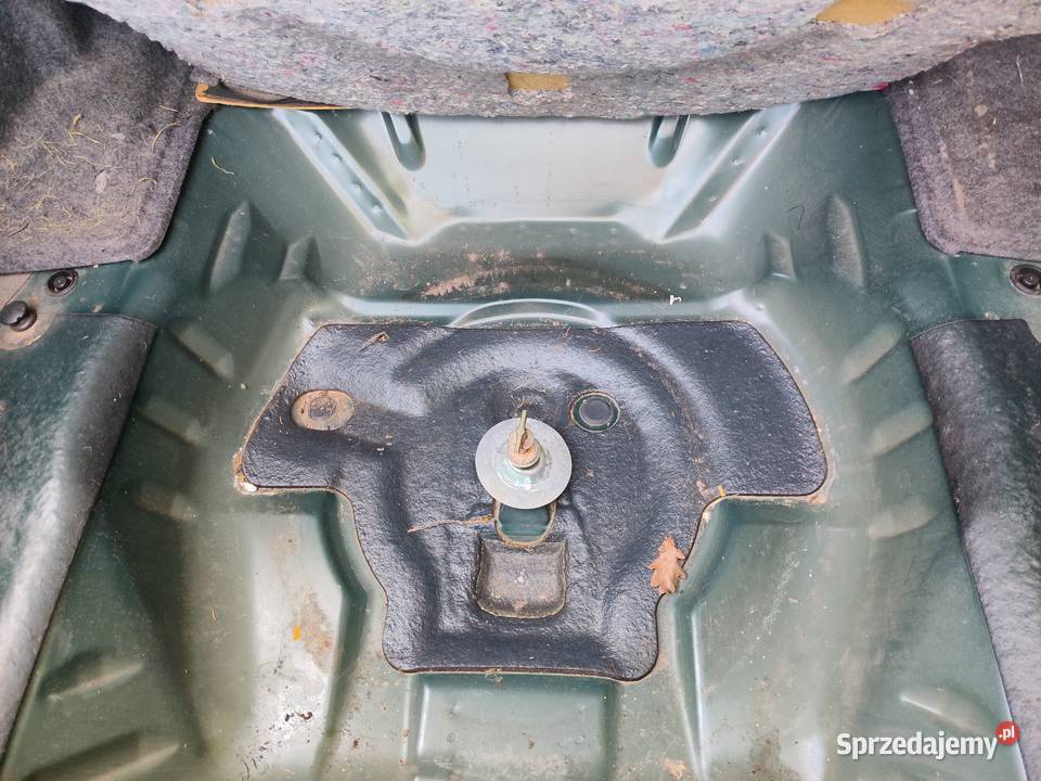 Honda Accord V6 Kozubszczyzna