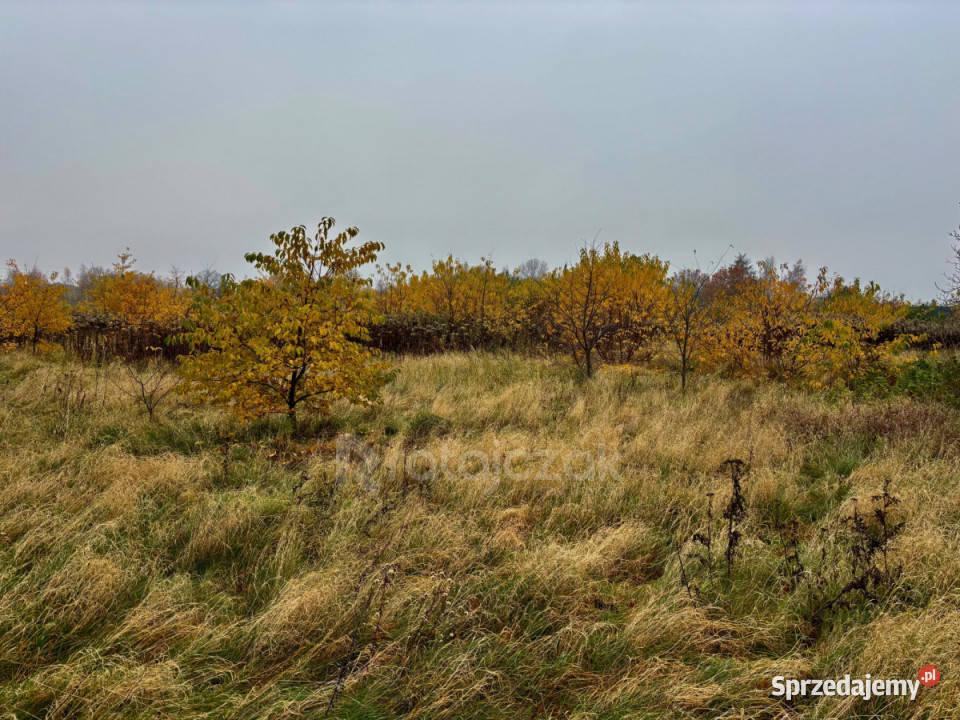 Grunt 2914 metry Drewnica utwardzona