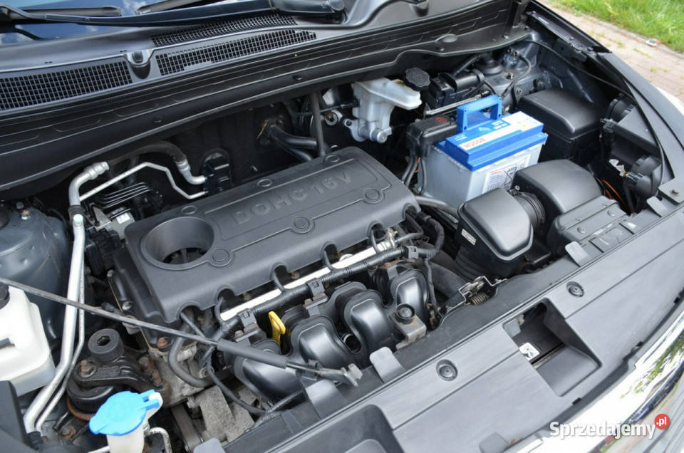 Kia Sportage Zarejestr 20i DOHC 163 Serwis 4x4 Kutno