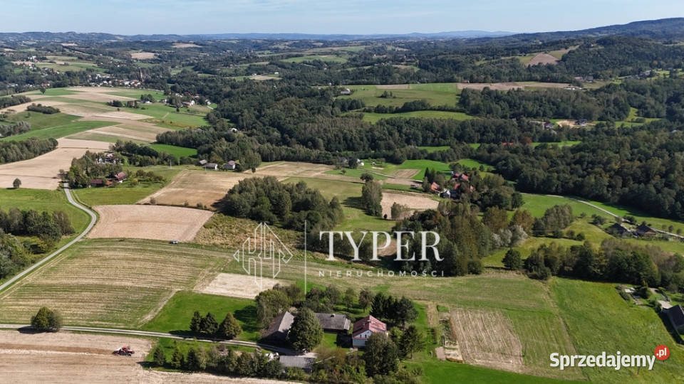 Działka Ryglice 77 arów Sprzedaż