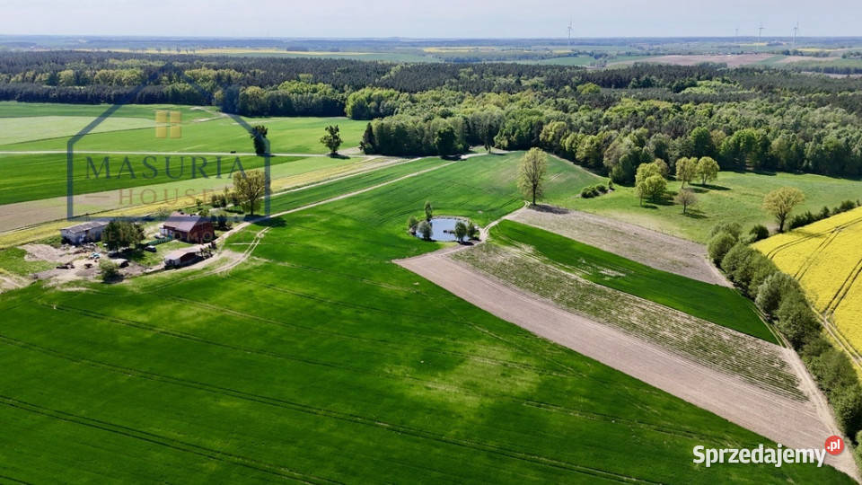 Działka lesie 15 min Iławy i Jezioraka siedliskowa