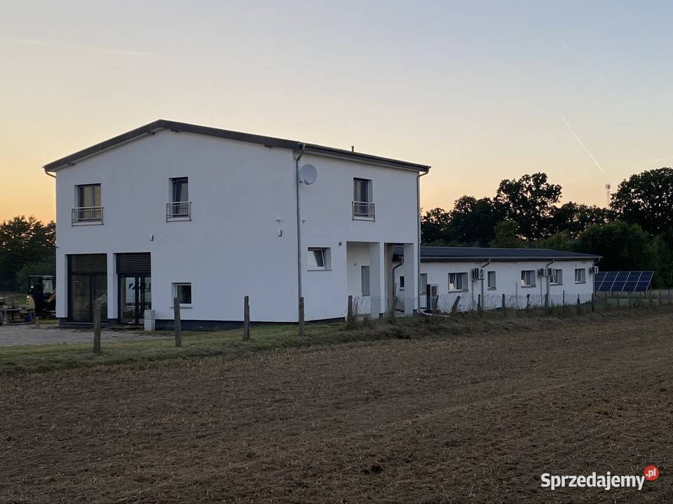 Mieszakania 100m2 i 70m2 hala 200m2 działka 48ha Domy dolnośląskie