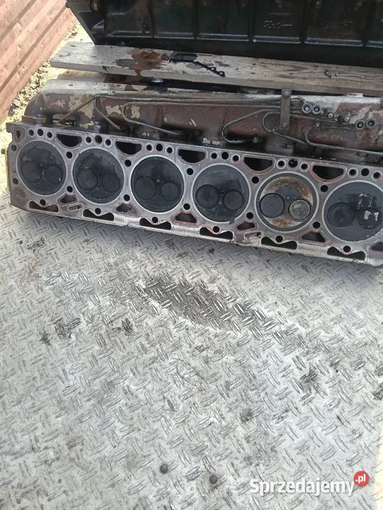 Głowica do Zetora Ursusa 6 cylindrowy sprzedam