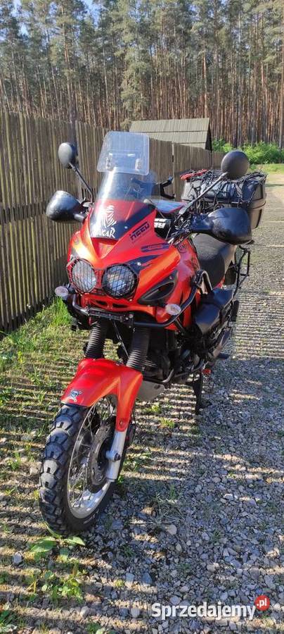Triumph Tiger 955i 2004 Triumph Motoryzacja Tarnowskie Góry