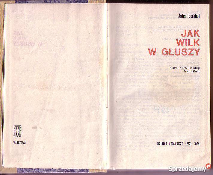 6687 WILK W GŁUSZY ASTER BERKHOF Czyrna