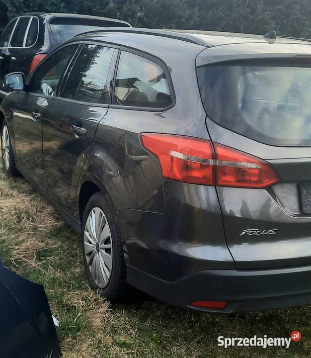 FORD FOKUS 2015R Diesel Piła