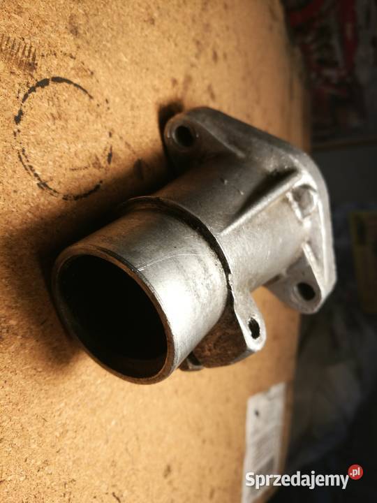 Mz es 2501 jaskolka krociec ssacy lubelskie Biała Podlaska