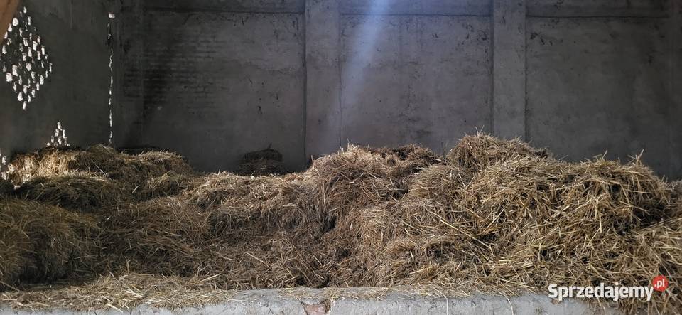 Słoma kilkuletnia Grójec Wielki