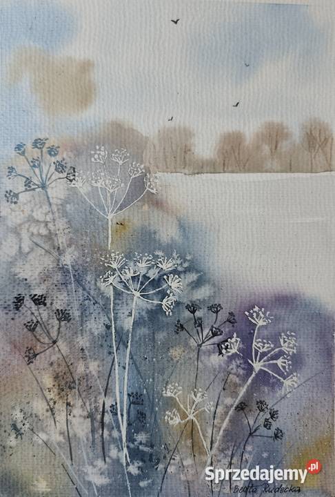 Akwarela Akwarelka Obraz pt Podagrycznik sprzedam