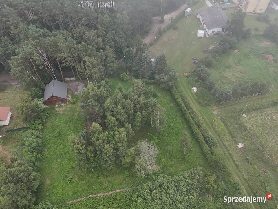 Syndyk sprzeda działkę Ostrowo Kolonia
