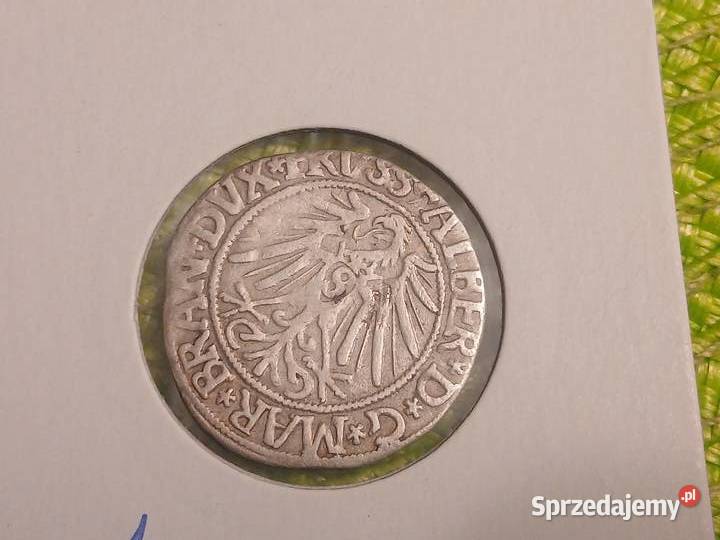 moneta srebrna Prusy Książęce grosz z 1543r Łomża