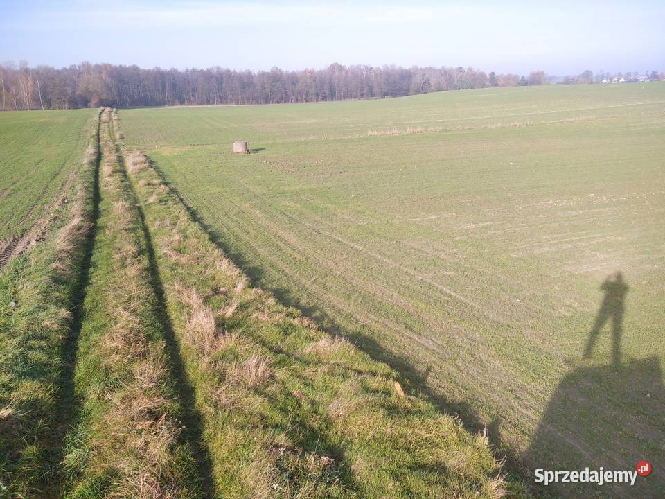 Dwie działki z warunkami zabudowy 40zł/m2 Sprzedaż Bukowiec