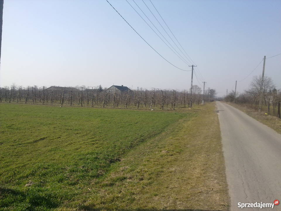 działka budowlanarolna gmina CHYNÓW 800m