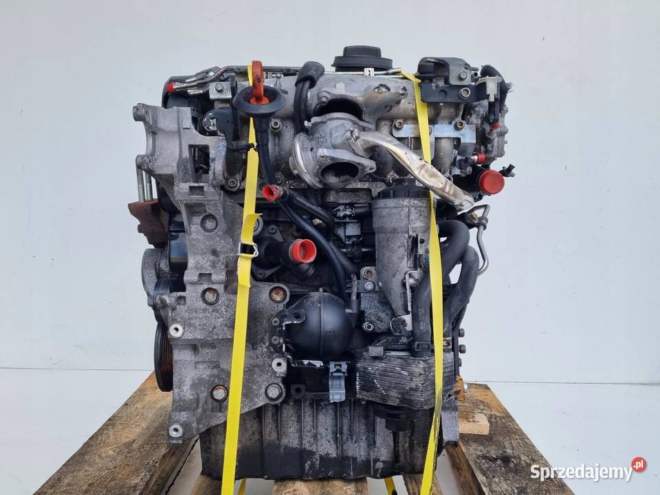 SILNIK KOMPLET Mitsubishi Grandis 20 DID TDI 146 Rudka