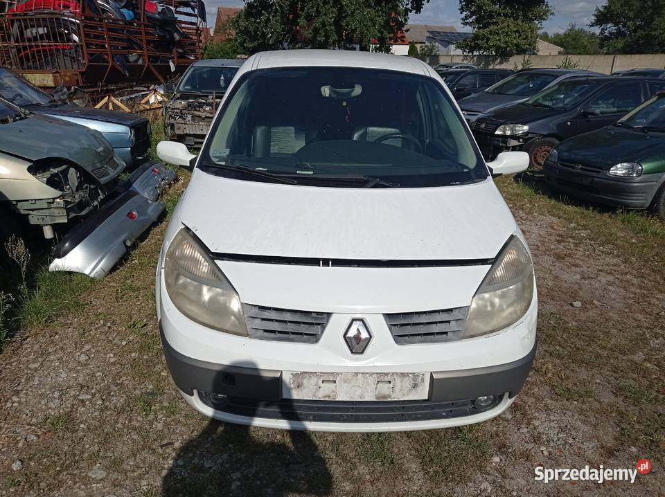Renault Megane Scenic 19 96 kW 2005 r dawca wielkopolskie Szklarka Myślniewska