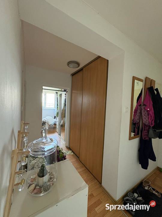 2pokojowe mieszkanie w centrum Bolesławca 4170 m dolnośląskie Bolesławiec