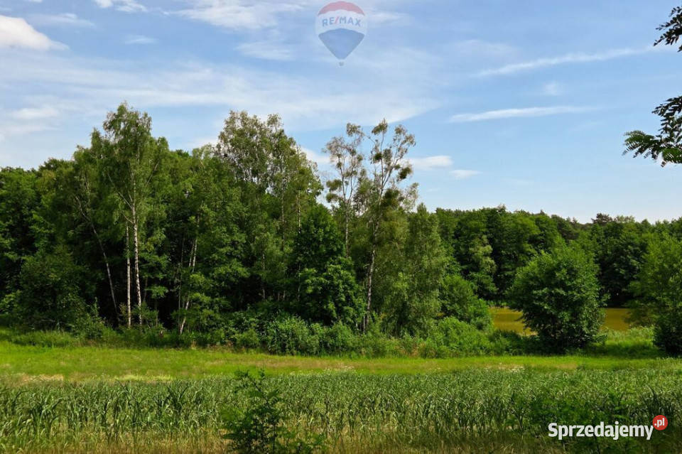 Działka jeziorze Pniew