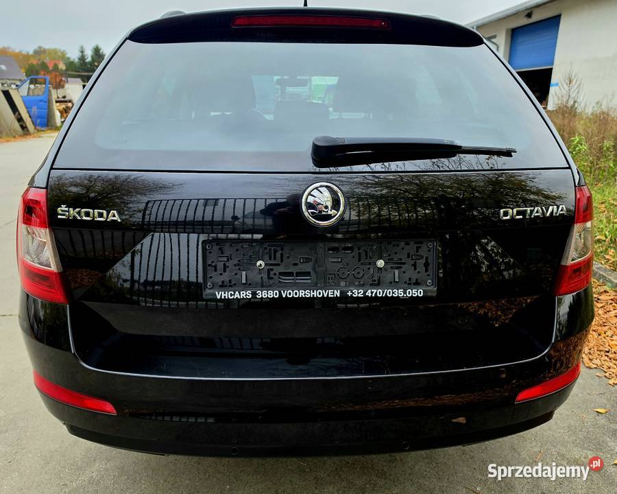 Skoda Octavia 16 TDi diesel lubuskie Kargowa