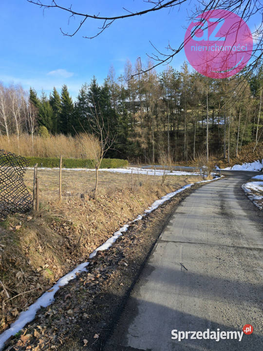 Działka budowlano usługowa 21ar Ptaszkowa