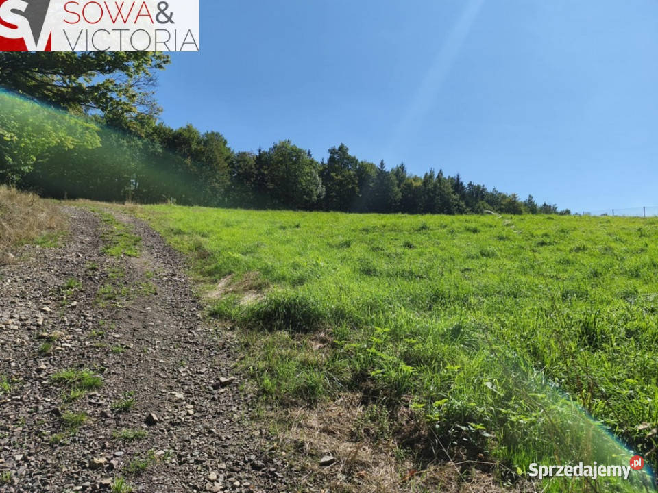 Działka w cichej uliczce z prądem budowlana dolnośląskie Głuszyca