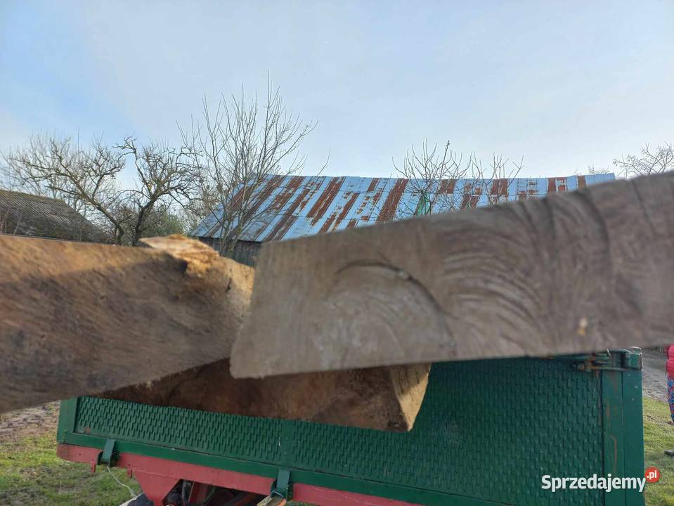 Sprzedam dębowe bele lubelskie Kozice Dolne sprzedam