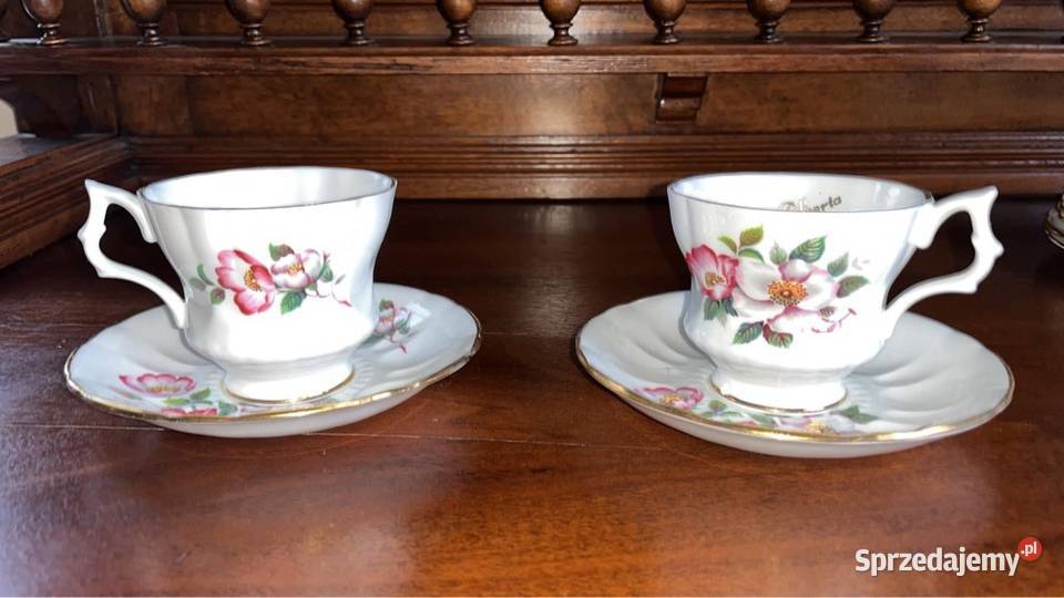 Filiżanka Royal Windsor England Alberta Wild Porcelana i szkło Gdańsk