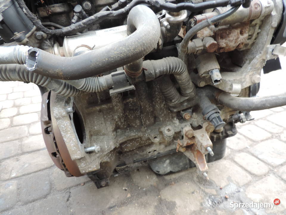 FORD FIESTA MK6 14 TDCI FUSION SILNIK F6JA osobowe Nowy Sącz sprzedam