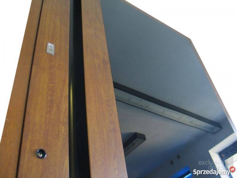 Drzwi aluminiowe panelowe szklany front drzwi Piwniczna-Zdrój