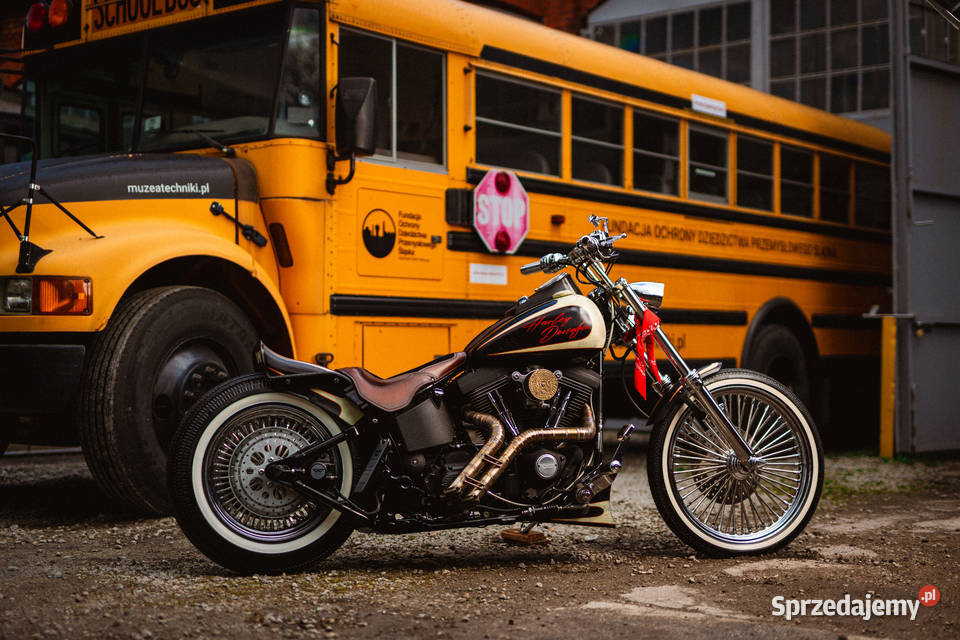 Harley-Davidson Softail Weekend Project