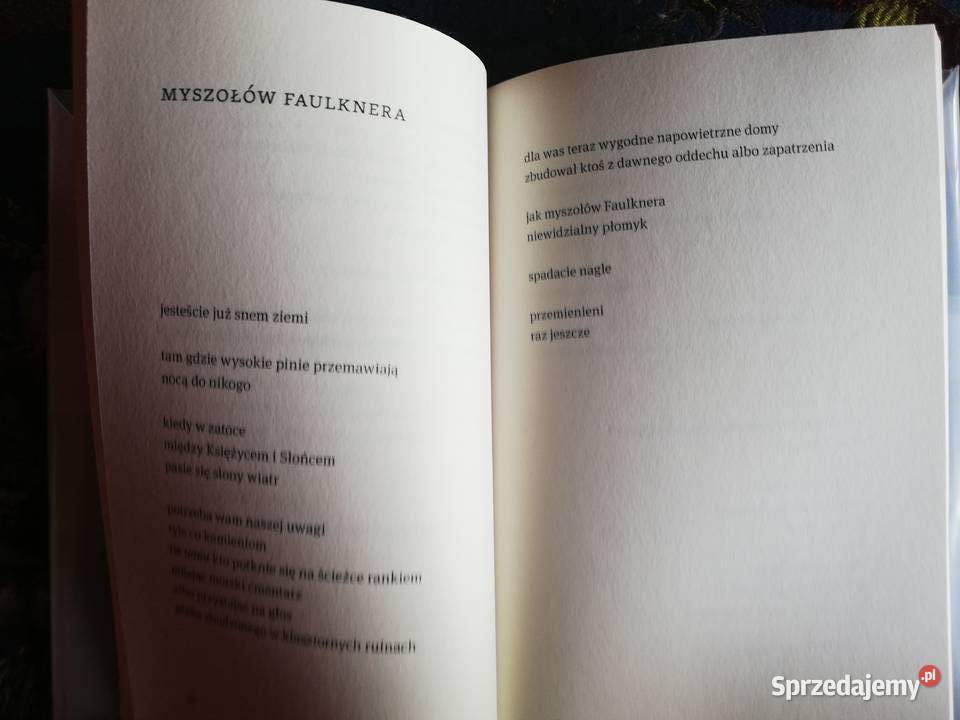 Krzysztof Lisowski Zaginiona we śnie Kraków