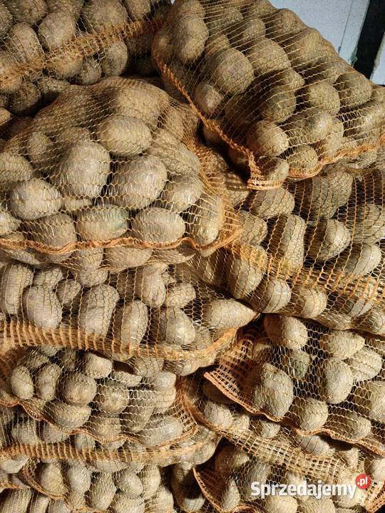 Ziemniaki Jadalny Piwonia Lord Soraya Bielsko-Biała