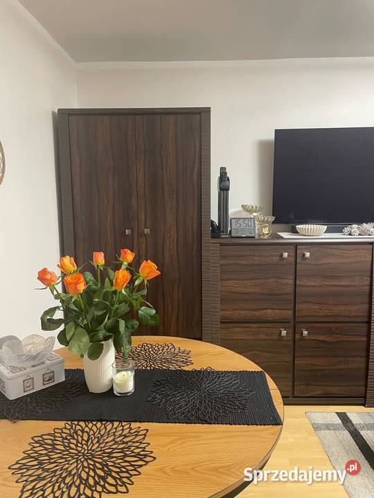 Meble BRW SENEGAL Kwidzyn