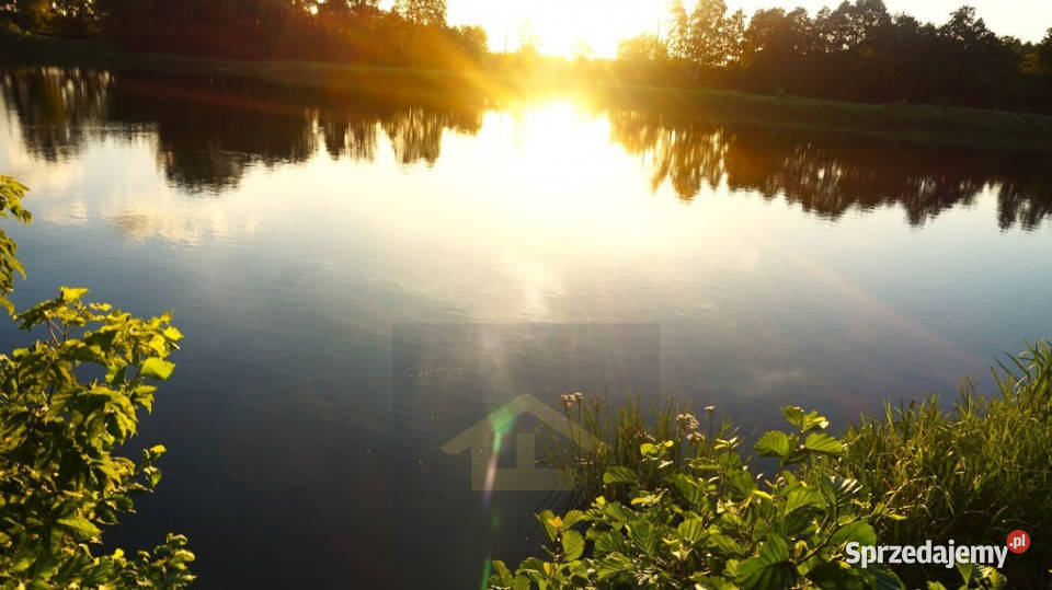 Działka letniskowa w pobliżu Narwi Ostrykół Dworski sprzedam